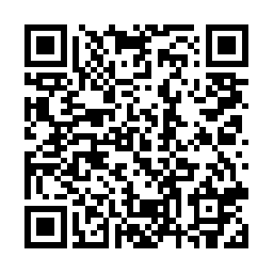 这久无外人造访的修罗界也终于迎来了一批新的访客二维码生成