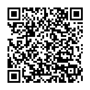 这些计划与教学从组织分工到战斗分配到合纵连横到勾心斗角上大抵都有涉及二维码生成