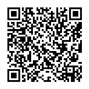 这位老大……我们……我们再也不敢了……您就把我们当个屁……给放了吧……二维码生成