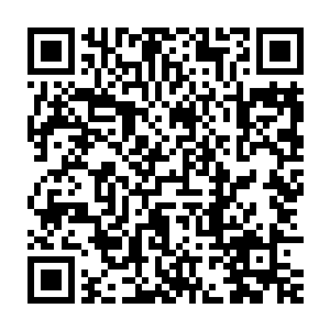 这修罗界的环境跟楚旬等人曾经所待过的群魔古堡倒是有几分相似二维码生成