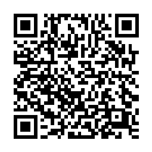 这勾家在飞升星势力太过巨大几乎半数的飞升星势力都归勾家二维码生成