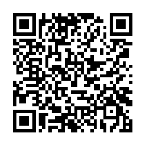 这就完全符合了墙壁上记载的修炼功法所需要的条件二维码生成