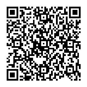 这座旅馆在南区的一条繁华街道――这条街道看上去和外面世界的商业街似乎也没太多区别二维码生成