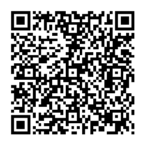 这必将是继刺客无命在第二区暗杀宴真之后又一关乎刺客无命的事迹要被传扬出去二维码生成