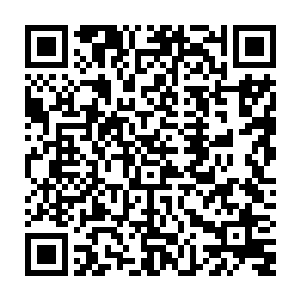 这才不得不以这样的方式生存下来的……依靠他们一代又一代的圣殿使者的精血二维码生成