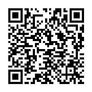 这时他家中不少仆从以及豢养在家中的食客纷纷闻讯从后堂以及二维码生成