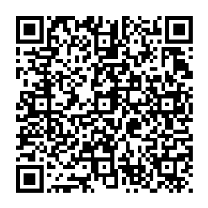 这时候秦方才算是看清楚了这个盯梢着自己的灵兽长什么模样了……可也是略微有些失神的二维码生成