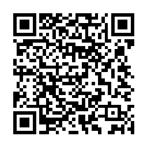 这是从他们一出生就刻在了他们骨子里的命中定数二维码生成