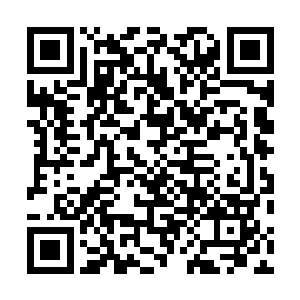 这是他第一次代表圣保罗参加一线队的比赛……司职中锋二维码生成