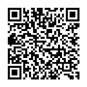 这样好过根据模糊的推衍结果去找不知是不是隐匿了身份的他们二维码生成
