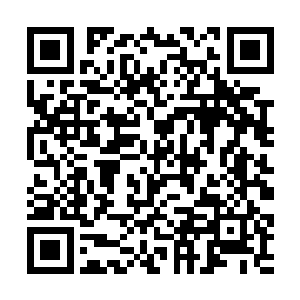 这次他们一举杀掉了南荒土著人安插在家族中的奸细二维码生成