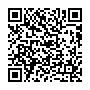 这次的拍卖会到时候整个玄黄宇宙的各大宗门应该都会参加二维码生成