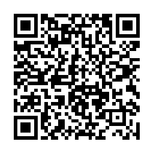 这法界宗掌门和血家家主的脸色也是一下就苍白起来二维码生成