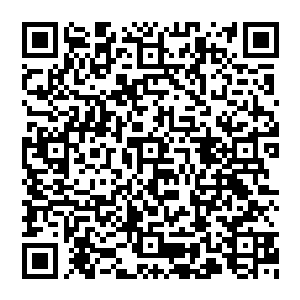 这片山林地带之所以还被那些噬灵妖虫和赤光血蛇吞噬皆因这片山林之下地域很特殊兼之山林中生长一些奇特妖植二维码生成