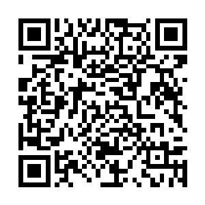 这种没任何自由不知前途生死的滋味实在是不好受二维码生成