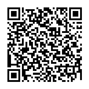 这种真正能影响到整个游戏世界的大型任务或者终极任务就不是NPC能做的了主的二维码生成