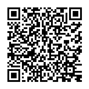 这算是他与一位实力没有受到任何压制的墨族伪王主真正意义上的第一次碰撞二维码生成