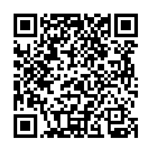 连云子和佛子的出现是将他们不可一世的嚣张气焰给打下二维码生成