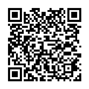 连隔壁家的罗卿卿和罗母也都在客厅里商量着什么二维码生成