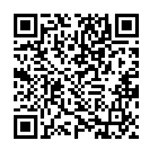 那个时候我还以为是他们一族掌握了去往其他世界的方法二维码生成