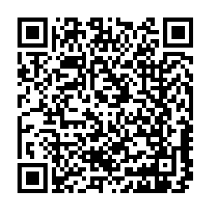那个美丽的姑娘正是因为他懵懂得甚至谈不上是喜欢的单纯模仿而香消玉殒二维码生成