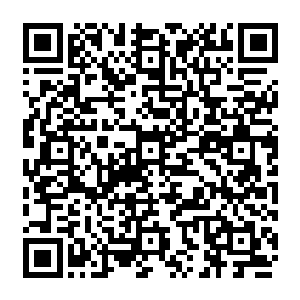 那么他们所做的一切已经和华夏国政府没有任何关系――他们在华夏没有机会犯罪二维码生成