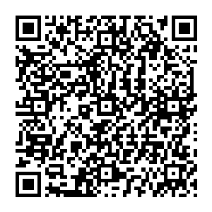 那也是明显很不靠谱的……估计他们自己都不信秦方可以修复唐门的十大暗器之一的暴雨梨花呢二维码生成