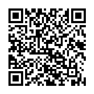那些警察只是把这件案件定性为一件简单的黑社会寻仇案件二维码生成