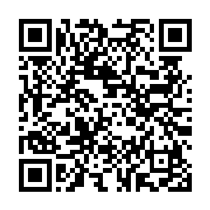 那仙石的数量对于仙界还没修炼到天仙境界的土著而言二维码生成