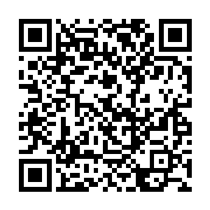 那位刚才还很淡定的任标经理已经一个箭步抢上前来二维码生成