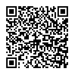 那原本在楚旬掌心疯狂挣扎的精血也仿佛是受到了某种可怕力量的桎梏一般二维码生成