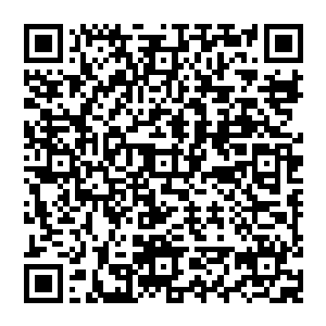那只实力几乎不弱冰龙多少的至尊灵兽才是冰龙心中的大敌……它也是不得不小心翼翼的应对着二维码生成