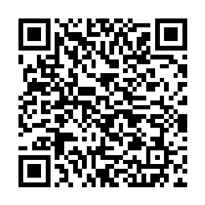 那只暴雨梨花的空荡荡的针筒也是立即被填的满满的二维码生成