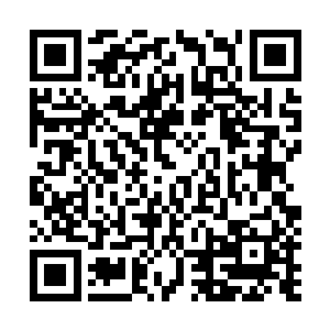 那可是只有他们能位列凤凰族的凤凰才能使用的种族技能呢~二维码生成