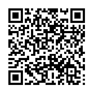 那就是他对白谨如此安排灵儿的人生确实是很不满二维码生成