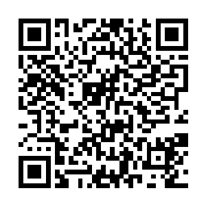 那攻击威力和烈环的反击撞在一起竟然打的势均力敌二维码生成
