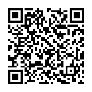 那是一种从小建立的价值体系被推翻后产生的迷惘二维码生成