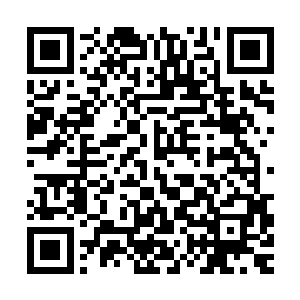 那股从海底森林中冒出来的巨大黑灰水柱卷动起越来越多的海水二维码生成