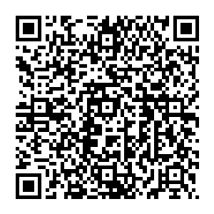 闻言 城主睁开眼 看着神采奕奕的他 脸色一板 屈指一弹 一道无形的手指啪的一声敲在风清扬的头上二维码生成