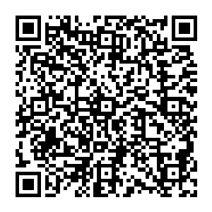 闻言 风清扬更不爽了 他放下手中的杯子 直勾勾看着他 想要看看他葫芦里到底是在卖什么药二维码生成