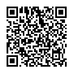 阿虞你所修炼的灵魂功法是无视一切结界阵法的二维码生成