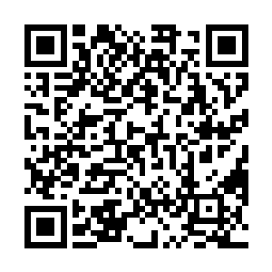 陆为民和曹振海在令狐道明和各单位的主要领导介绍下二维码生成