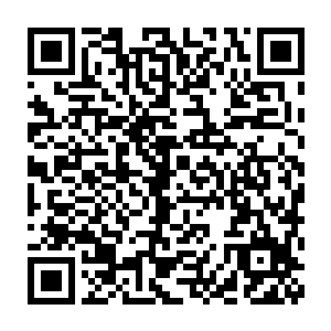 陆飘羽符神主得知后很是奇怪的给神王虚风下令从此不得再去纠缠虚菁二维码生成