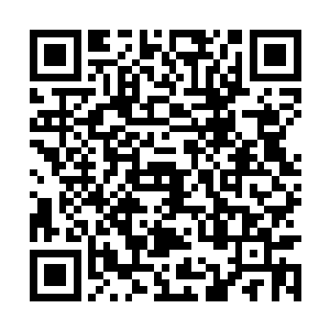 陈凌和金家的仇恨已经演变成了莫家和金家的矛盾二维码生成