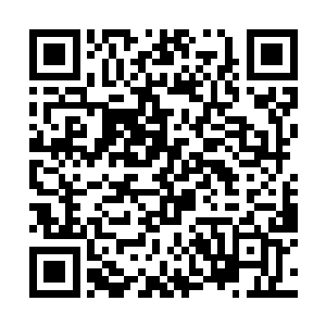 陈凌的实力从他一剑劈开白塔就已经展现的淋漓尽致二维码生成
