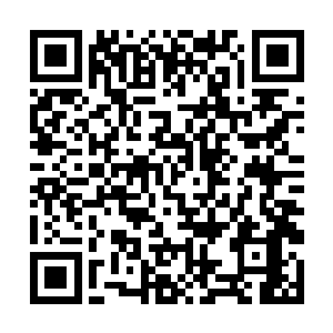 陈小练已经双手握着刀准备狠狠的劈过去的时候……二维码生成