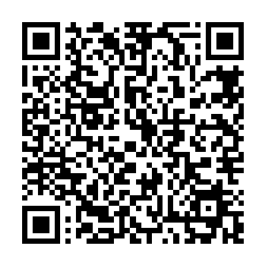 陈诚这一标无形中便让安掌门在观众们心目中的捞比形象更加深入人心了二维码生成