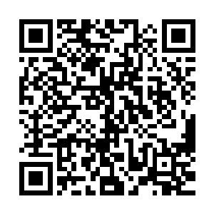 除了几个当家的之外他们根本不知道现在的血翼是属于龙家的二维码生成