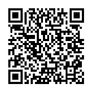 难道九域修士都不用修炼就能到你们现在的修为二维码生成