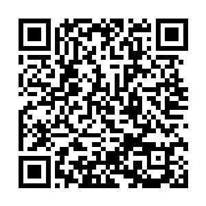 难道他们在短短几分钟的时间里轰杀了10多位仙人二维码生成